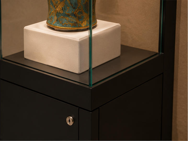 Glass front, interior lining and illuminated plinth material details