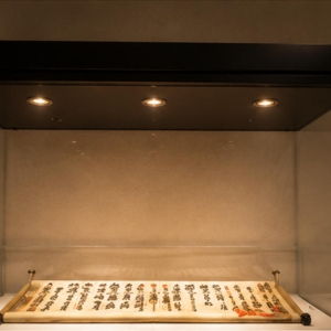 Wall-Mounted Horizontal Manuscript Display Case | Museum Showcase 4 Integrated lighting effect and manuscript display arrangement