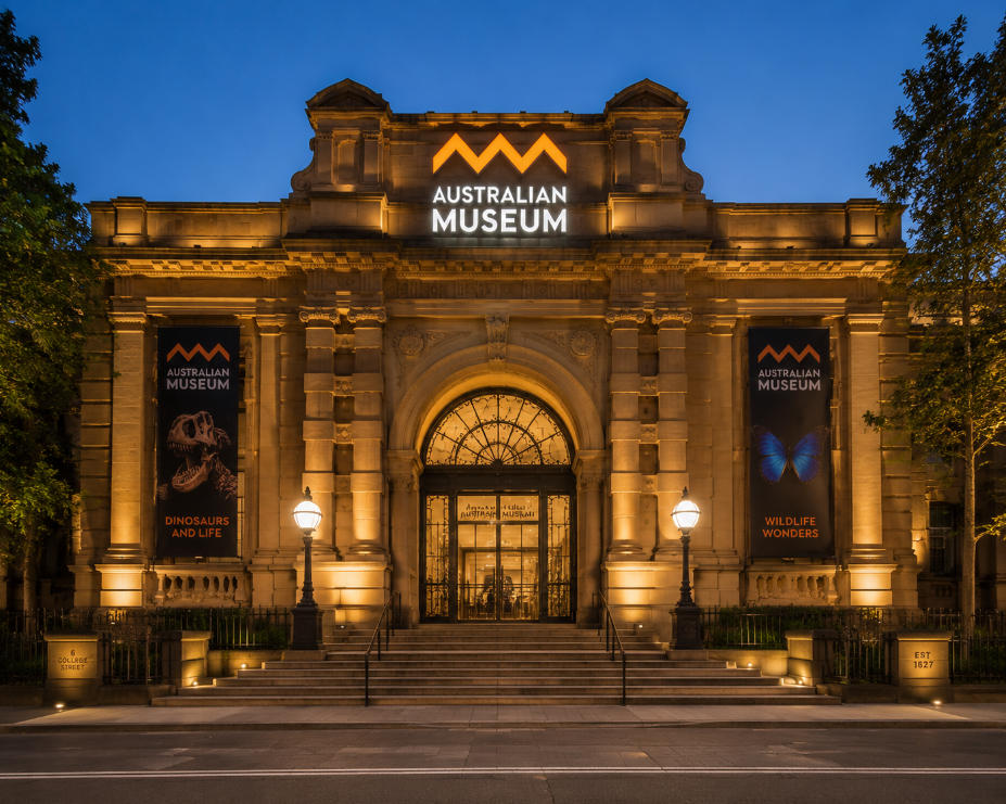 Timber Specimen Vitrine – Natural History Museum Display Cabinets for Australian Museum