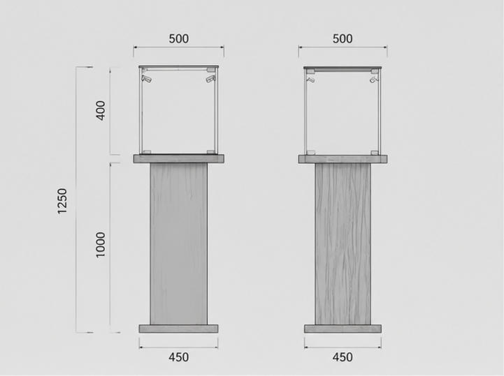 CAD layout porcelain bottle vitrine solid wood pedestal booth dark timber tall case side strip light unit ceramic heritage display cabinet dimension drawing